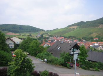 Percorso A piedi Meddersheim - Wingertsweg - Photo