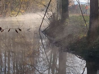 Randonnée Marche Jouy-sur-Eure - Jouy, la ronce - Photo