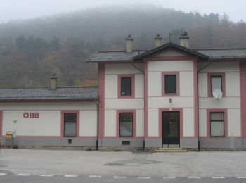 Percorso A piedi Gemeinde Weissenbach an der Triesting - Weissenbach-Raintal-Hafnerberg-Altenmarkt - Photo