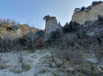 Trail Walking Cairanne - Les Terrasses de l'Aygues - Photo