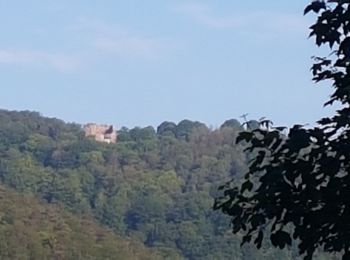 Tocht Stappen Niederbronn-les-Bains - Windstein entre châteaux et ligne Maginot - Photo