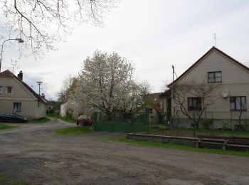 Excursión A pie Velký Bor - Újezd u Chanovic - Jetenovice (žst) - Photo