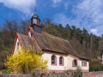 Tour Zu Fuß Kirchzell - Rundwanderweg Ottorfszelll 2 - Photo