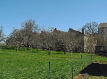 Randonnée A pied Arnsdorf - Gelber Strich Pulsnitz, Großröhrsdorf, Stolpen,... - Photo