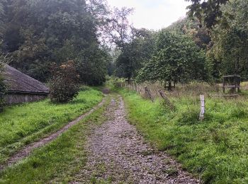 Tocht Stappen Luik - autour du domaine universitaire  - Photo