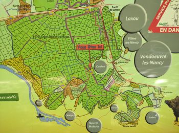 Tocht Stappen Nancy - Ma rando du jour - Photo