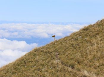 Tocht Te voet Saint-Maurice - Tour des Dents du Midi - Photo