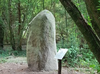 Randonnée Marche Saint-Estèphe - Saint-Estephe par Piėgut - Photo