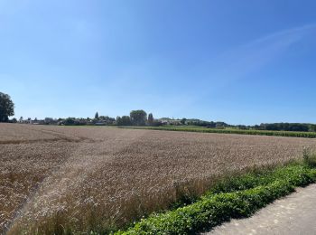 Tocht Elektrische fiets Wingles - Vers Lorette  - Photo