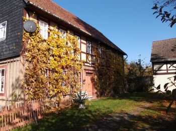 Tocht Te voet Rochlitz - Wanderweg Rochlitz - Fischheim - Nöbeln - Photo