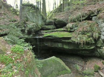 Tocht Te voet Heinersreuth - Rundwanderweg Heinersreuth 2 - Photo