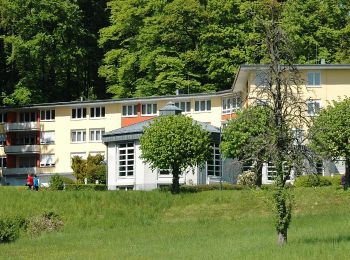 Tour Zu Fuß Lindenfels - Rundwanderweg Lindenfels Weinweg 1: Ludwigsfelsen-Weg - Photo