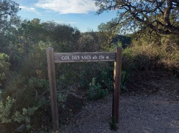 Tour Wandern Fréjus - Lacs de Peguière 23.12.23 - Photo