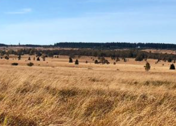 Tocht Stappen Waimes - Wandering Peak Beer myrtille avec extension (new) - Photo