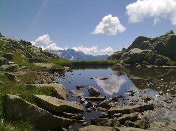 Excursión A pie Pinzolo - Sentiero della Canavaccia e guida Dellagiacoma - Photo