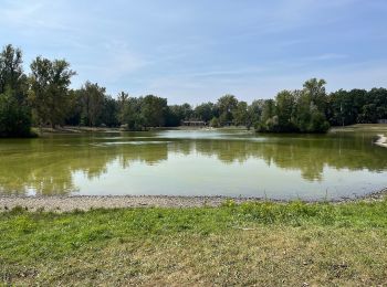 Excursión A pie Přerov - naučná stezka Přerovským luhem (zkrácená trasa) - Photo