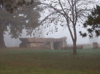 Tour Wandern Gennes-Val-de-Loire - Le Thoureil  - Photo