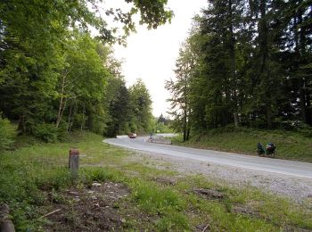 Tour Zu Fuß  - Von Skrad zum Gipfel Javorova kosa - Photo