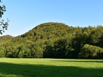 Percorso A piedi Harzgerode - DE-grüner Punkt - Photo