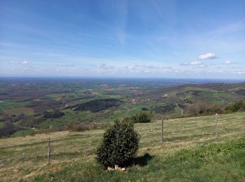 Tour Wandern Val-Revermont - départ de cuisuiat ensuite la chapelle de montfort - Photo