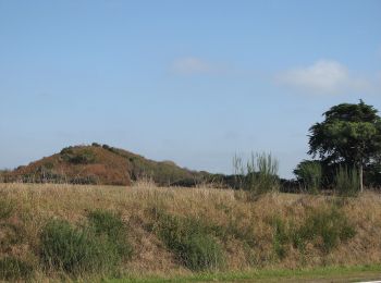 Trail On foot Arzon - Circuit La Butte de César - Photo