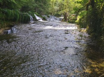 Tour Wandern Matafelon-Granges - Matafelon 2 Marmites de Charmine  - Photo