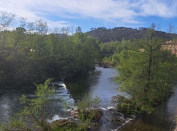 Excursión Senderismo Malons-et-Elze - GRP haute vallée de la Cèze  - Photo