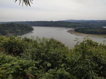 Randonnée Marche Landévennec - Tour de Landevennec 10-07-2019 - Photo