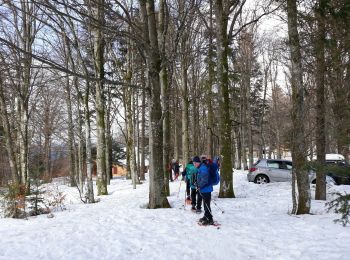 Tour Schneeschuhwandern Lepuix - Ballon d'Alsace - Photo