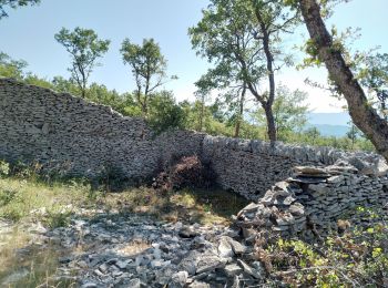 Percorso Marcia Châteauneuf-Val-Saint-Donat - château neuf, val St donat - Photo