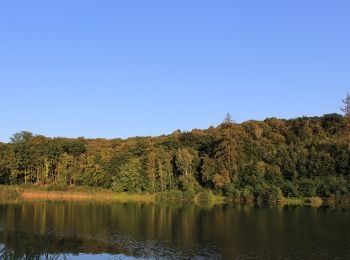 Tocht Te voet Nemochovice - [Z] Zadní jezírko - Nemochovice - Photo