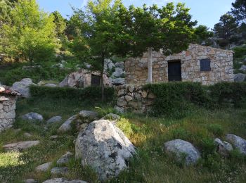 Tocht Stappen Sotta - bergeries Bitalza - Photo