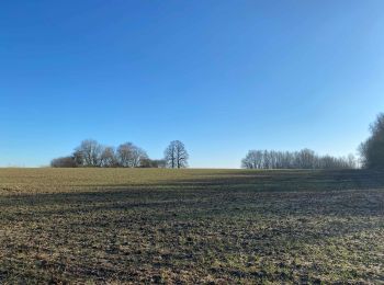 Tocht Stappen Eigenbrakel - Golf des 7 fontaines - GR12 - Photo