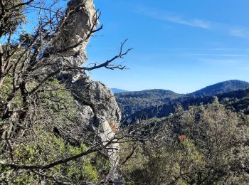 Trail Walking La Celle - rocher de candelon 2 - Photo