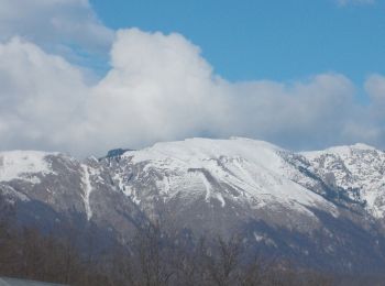 Percorso A piedi Băile Olănești - Schitul Pahomie - Stâna Ștevioara - Muchia Frumoasă - Șaua Ștevioara - Photo