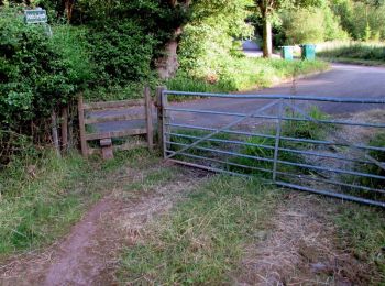 Tour Zu Fuß  - Lodge Hill Circular Walk - Photo