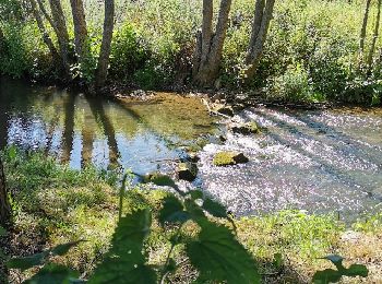 Tocht Mountainbike Amayé-sur-Orne - Forêts_de_Cinglais_et_de_Grimbosq - Photo