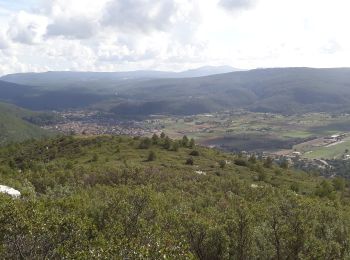 Excursión Senderismo Cuges-les-Pins - col de l ange - Photo