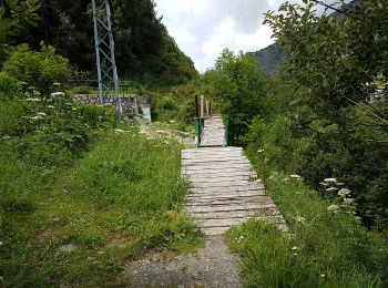 Trail Walking - 11133234-chemin du coq_jul-2017_openrunner - Photo