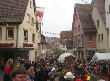 Tocht Te voet Weil der Stadt - Landesvermessungsweg - Photo