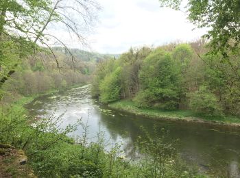 Randonnée Marche Herbeumont - RSIH - Herbeumont - Les Épioux - Photo