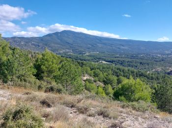 Tocht Mountainbike Mormoiron - Back to Crillon - Photo