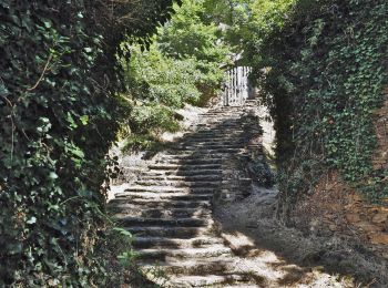 Randonnée Marche Tanus - Tanus le Vieux vers la chapelle de Las Planques - Photo