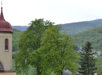 Tour Zu Fuß okres Vranov nad Topľou - Vlčí okruh - Photo