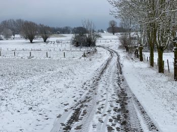 Tour Wandern Meise - Meise 10,5 km - Photo