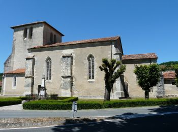 Excursión A pie Grignols - Boucle des Chaulnes - Photo