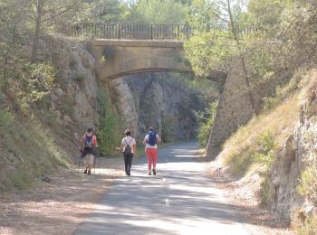 Trail Walking Bonnieux - PF-Bonnieux - Autour du Pont Julien - Photo