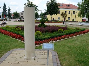 Tour Zu Fuß Józefów - Szlak geoturystyczny Roztocza Środkowego - Photo