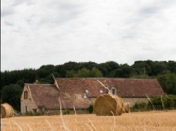 Randonnée Marche Val-au-Perche - Gémages - Igé 15 km - Photo