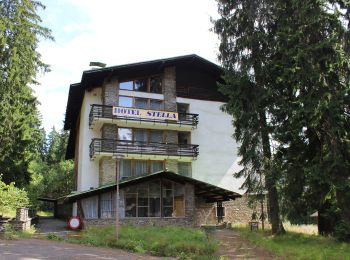 Excursión A pie Železná Ruda - NS Historie obce Špičák - Photo